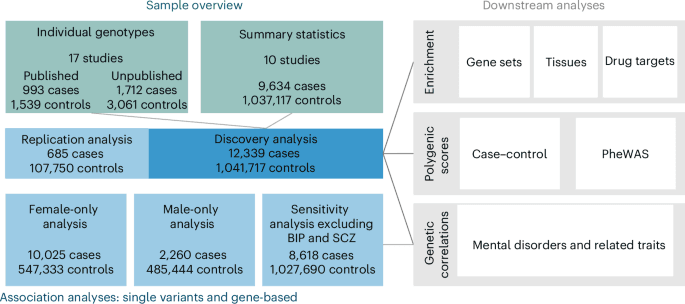 Precision Psychiatry's Missing Puzzle Piece: Massive Genetic Study Cracks the Code on Borderline Personality Disorder