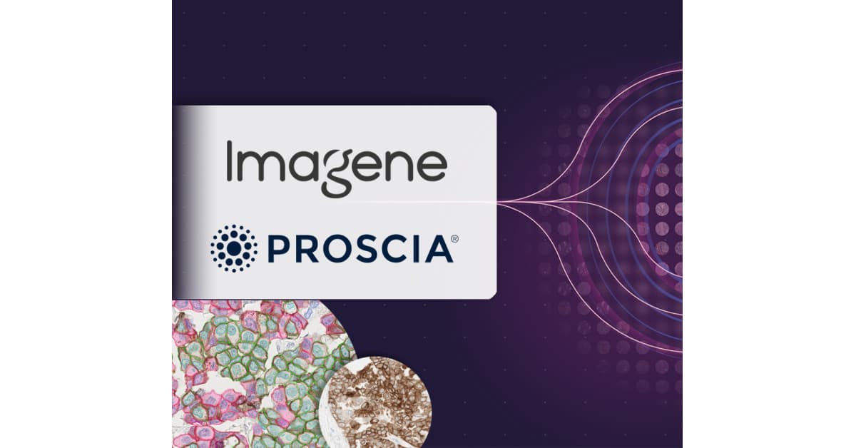 Digital Pathology Alliance Aims to Streamline AI-Powered Cancer Diagnostic Development
