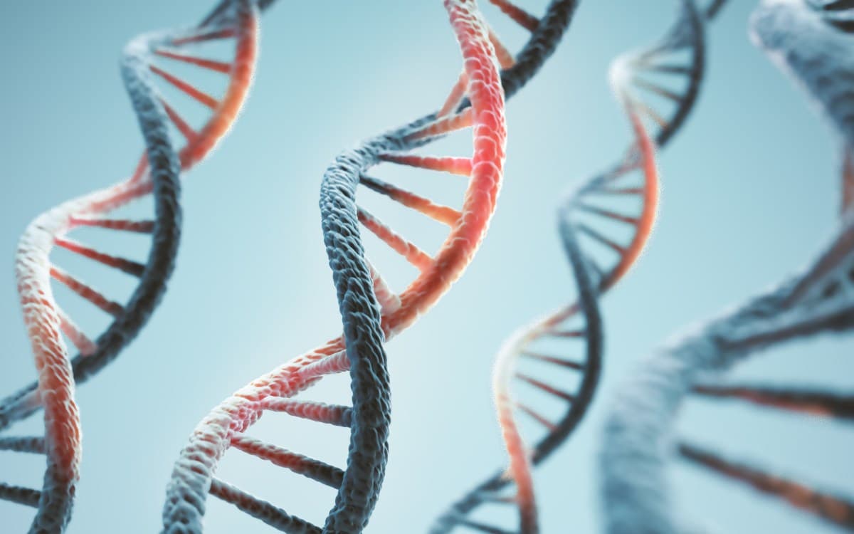 AI Safety Leader Anthropic Now Running Physical Biology Lab, Raising Eyebrows Across Industry