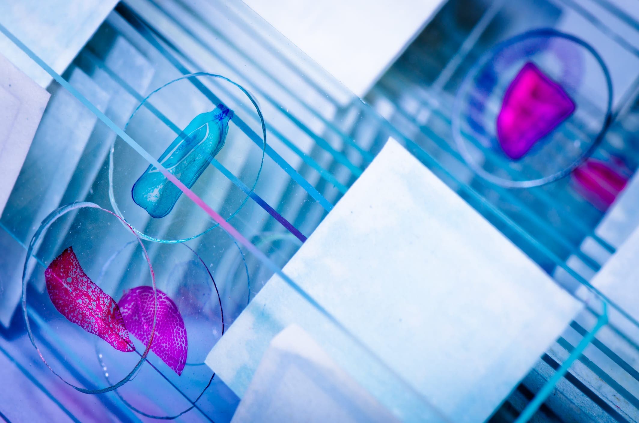 How One Pathology AI Firm Is Solving the Black Box Problem Regulators Fear Most