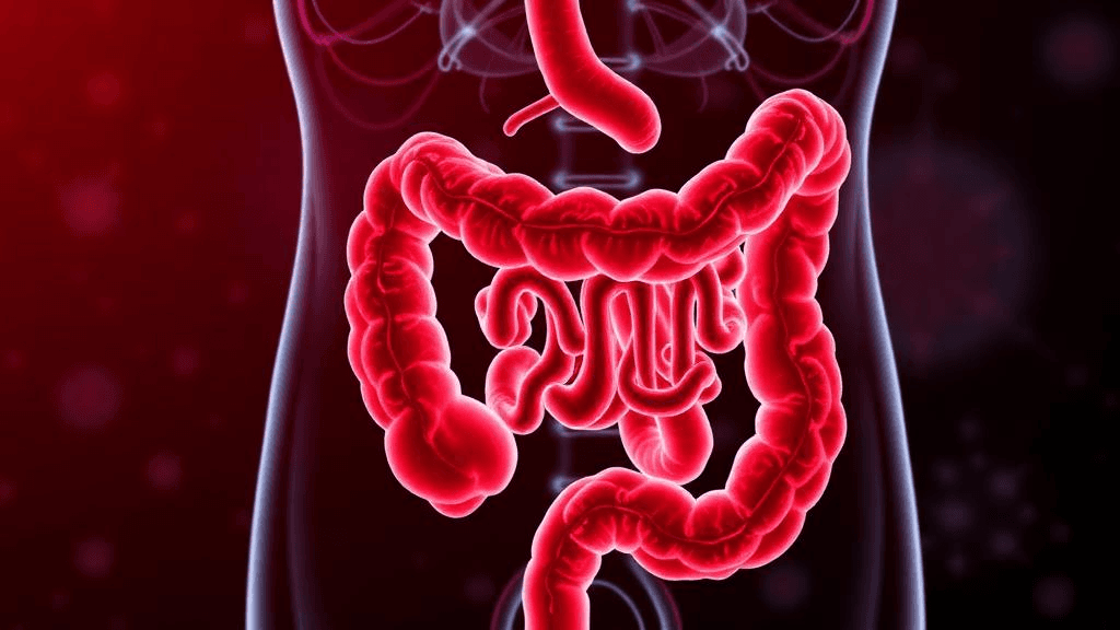 The Ten-Year Warning: AI Detects Inflammatory Bowel Disease a Decade Before Diagnosis