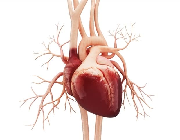 AI Uncovers Hidden Crisis in Heart Failure Care: Thousands Survive Hospitalization Only to Lose Their Independence