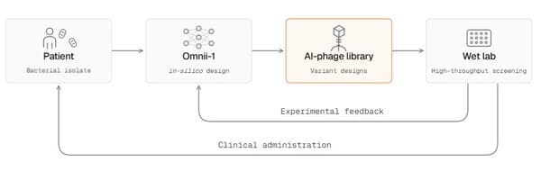 Radical Numerics Delivers First AI-Designed Phage Therapy to Human Patient Under Compassionate Use