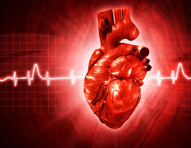 Lab-Grown Blood Vessels Show Promise in Reversing Heart Disease Damage