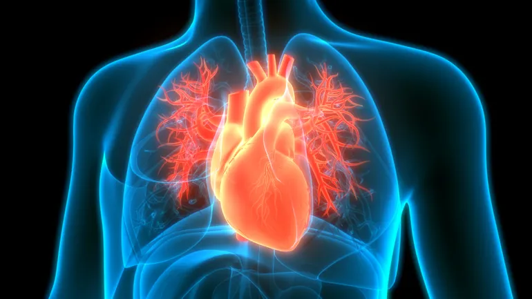 Federal Agency Bets $62.7 Million on Autonomous AI to Replace Missing Cardiologists